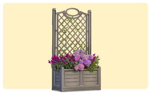 Raised grey planter box with trellis, pink hydrangeas and magenta petunias and green foliage on pale yellow background