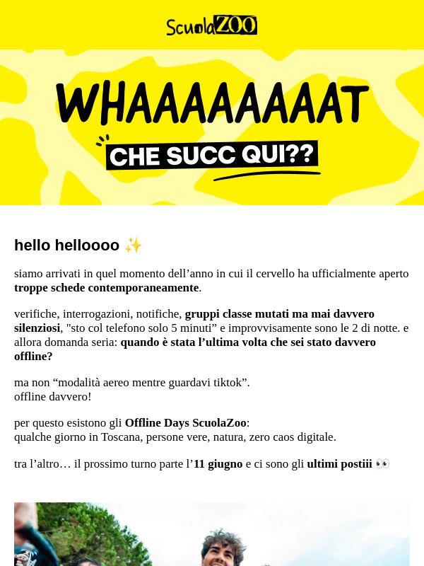 ScuolaZoo Survival Kit #37