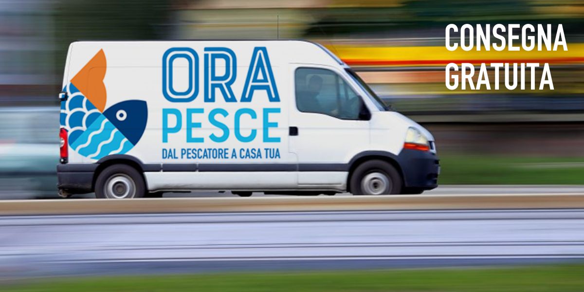 Spedizione gratis
