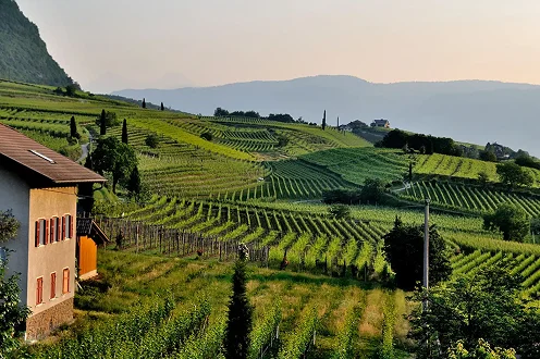 Scopri le regioni vinicole meno conosciute d'Europa