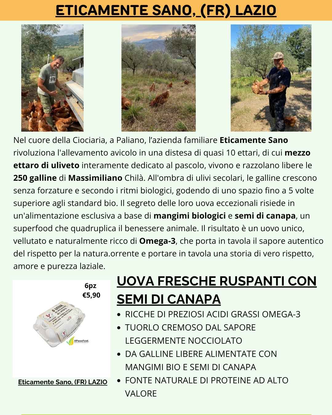 UOVA DI CANAPA