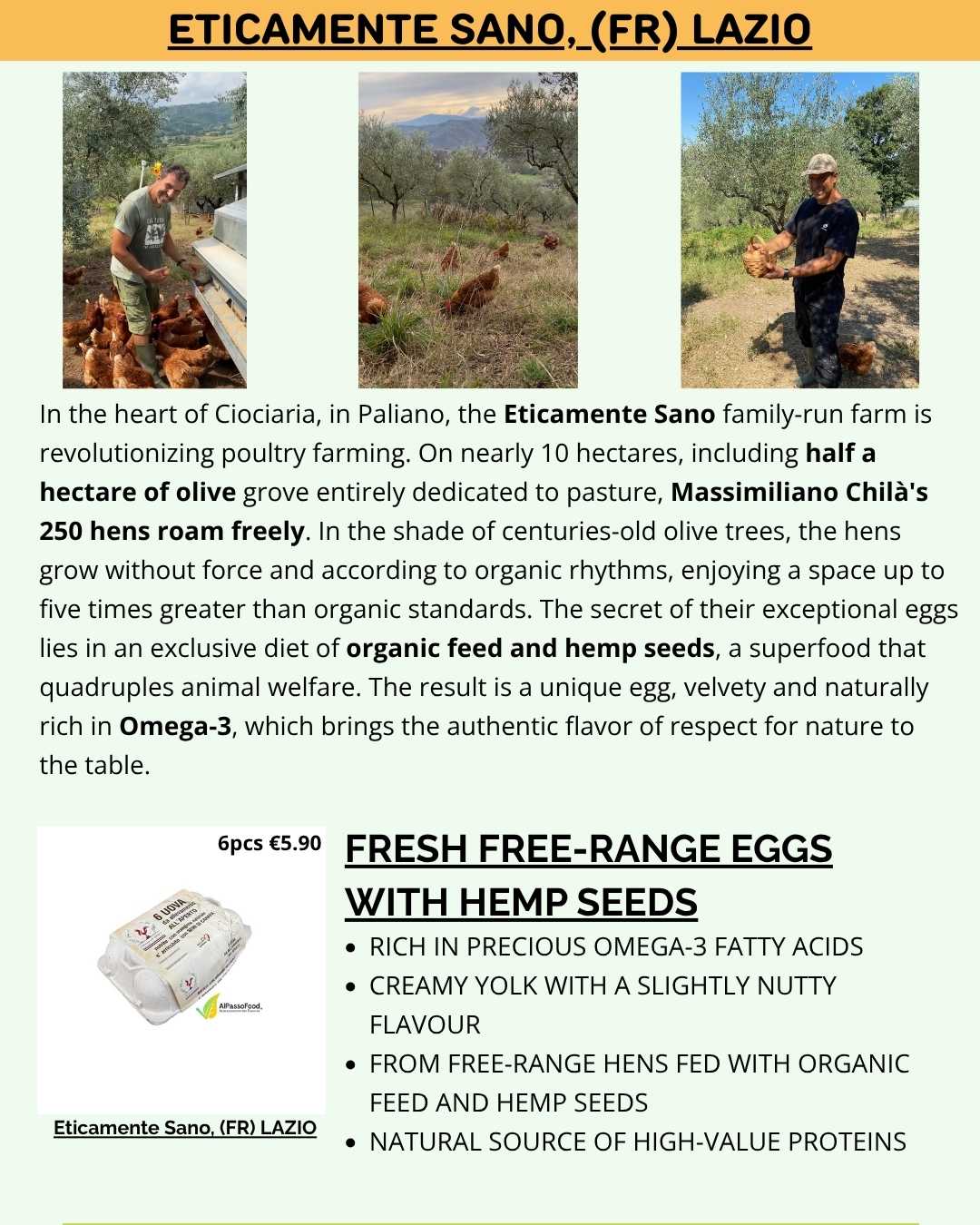 egg