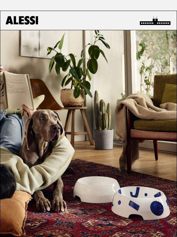 Accessori di design per i tuoi animali domestici