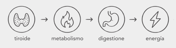 L'ipotiroidismo rallenta il metabolismo e l'intero organismo