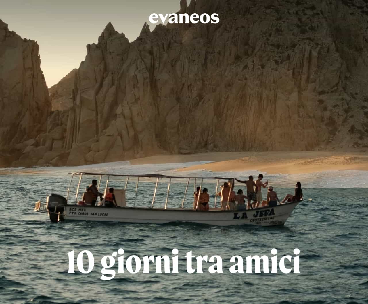 Amici