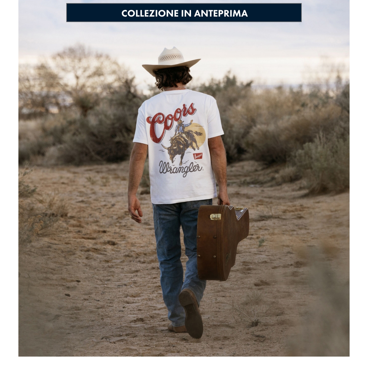 Collezione in anteprima