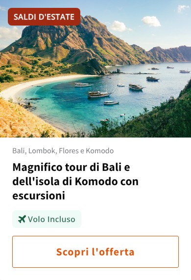 Magnifico tour di Bali e dell'isola di Komodo con escursioni