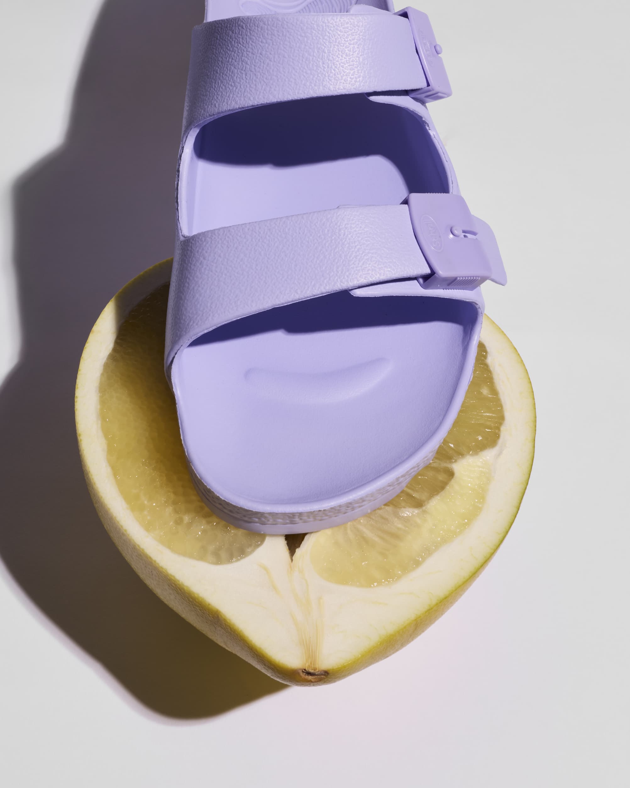 SCHOLL N21