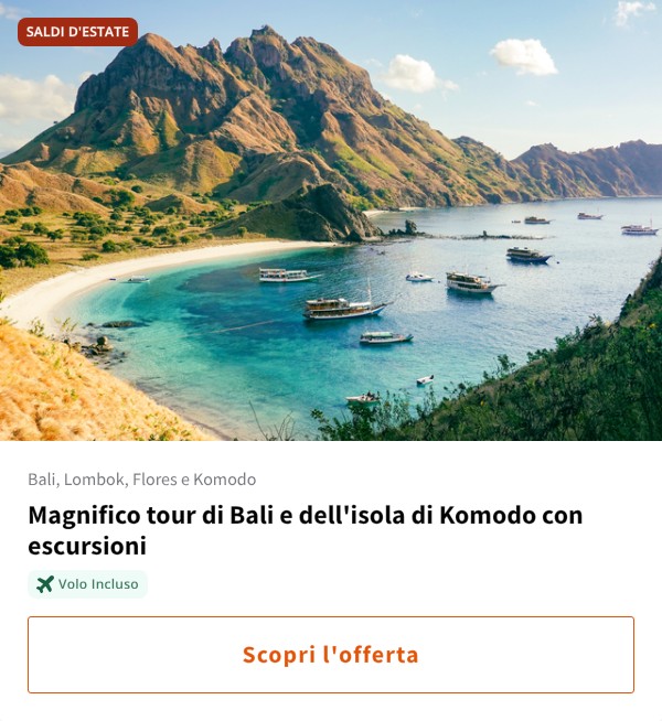 Magnifico tour di Bali e dell'isola di Komodo con escursioni