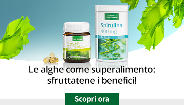 Le alghe come superalimento: sfruttatene i benefici!