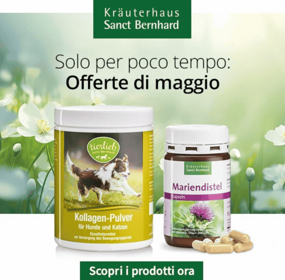 Offerte speciali