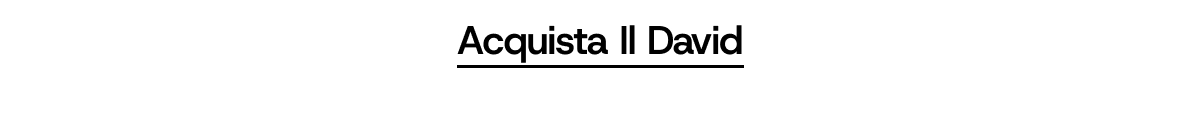 Acquista Il David