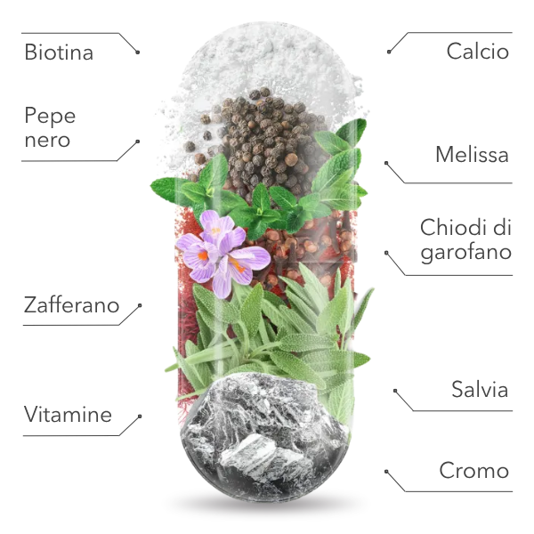 Ingredienti attivi di M-Pause 