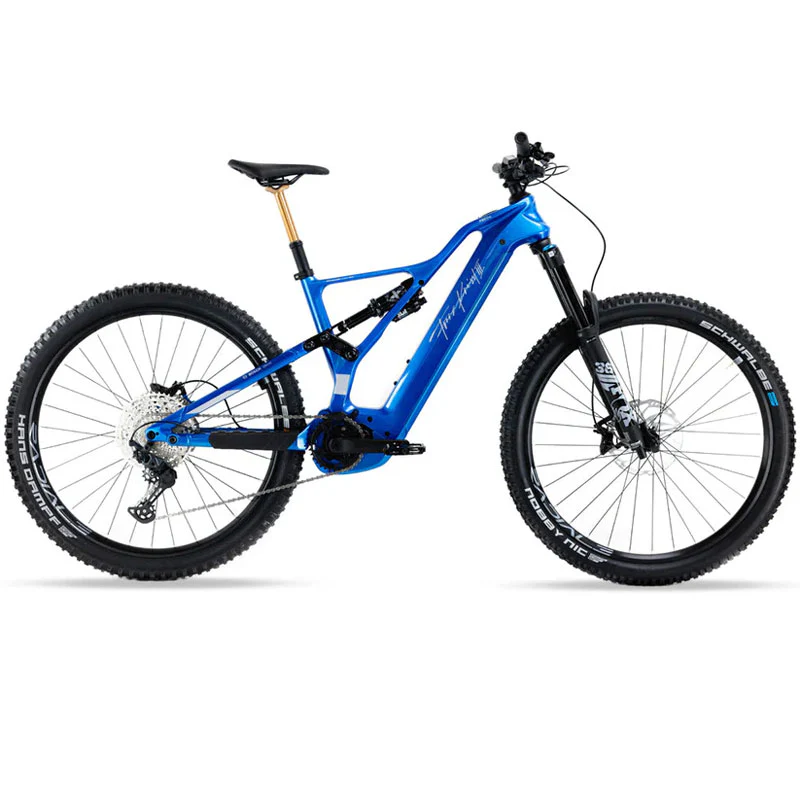 Image of E-Bike FSC04