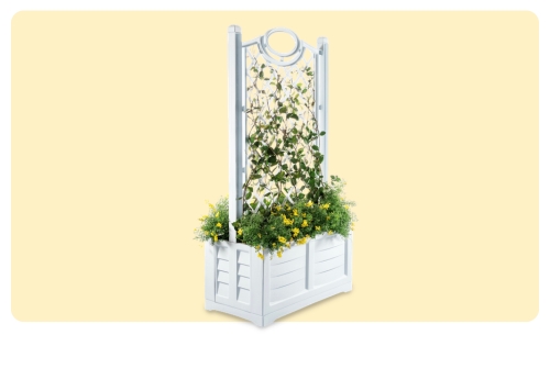 White outdoor planter box with trellis supporting a climbing vine bearing small yellow flowers on a pale background