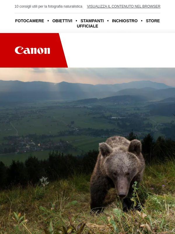 Segui il tuo istinto animale, Jekoo
