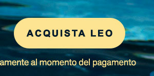 Saldi da Leonisa