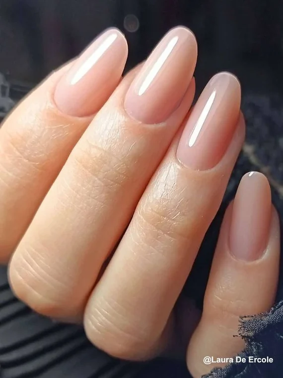 jelly-pro rose