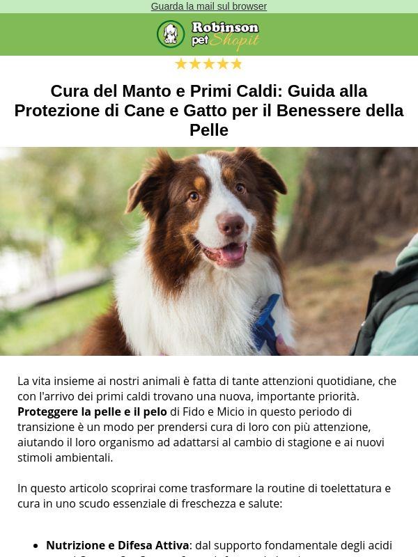 🐾 Primi Caldi? Proteggi Pelle e Manto di Cane e Gatto