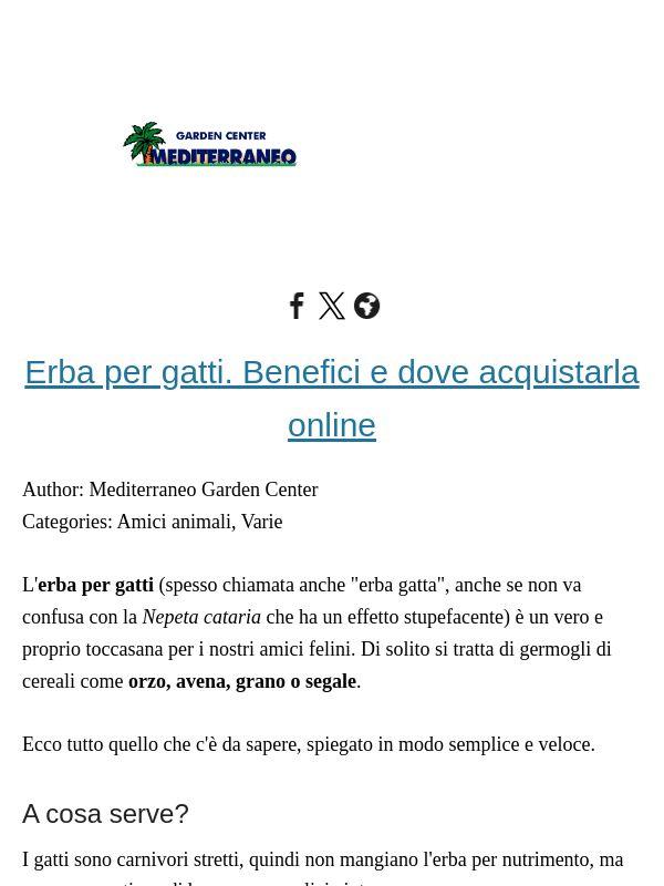 Gli ultimi articoli dal nostro blog