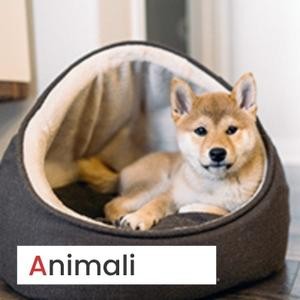Animali