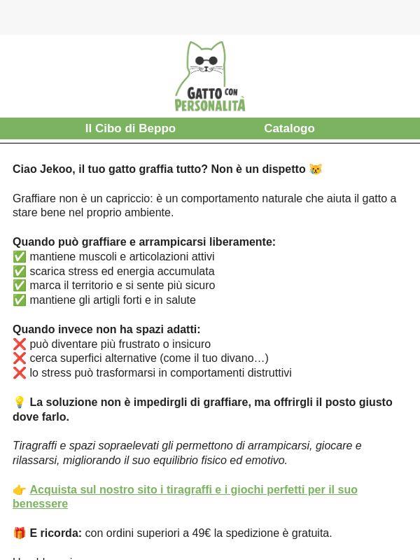 Il tuo gatto graffia il divano?