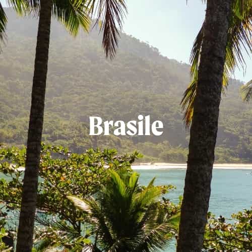 Brasile