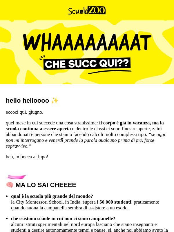 ScuolaZoo Survival Kit #38