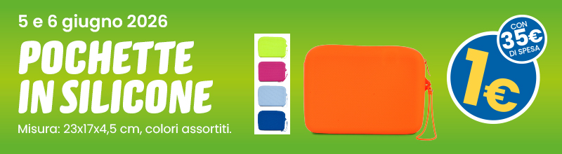 Orange silicone pouch with wrist strap, assorted colours 23×17×4.5 cm — promotional €1 offer on 5–6 June 2026 (with €35 spend)