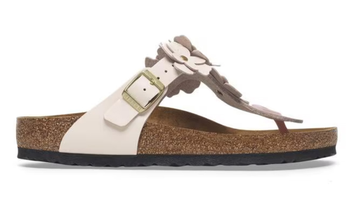 Sabot Boston