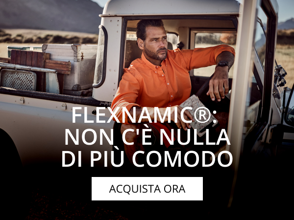 Flexnamic