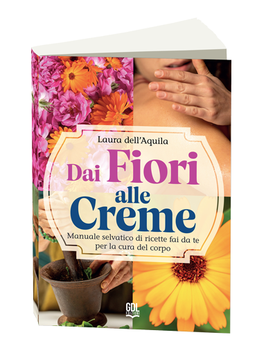 Novità