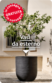 Vasi da esterno