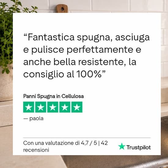 Recensione Panno spugna da Trustpilot