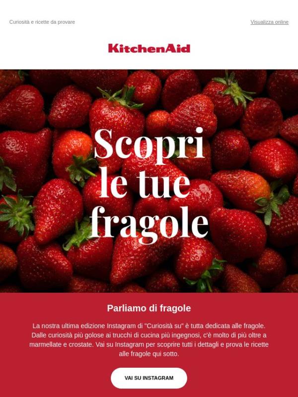 🍓 Un'occhiata più da vicino alle fragole