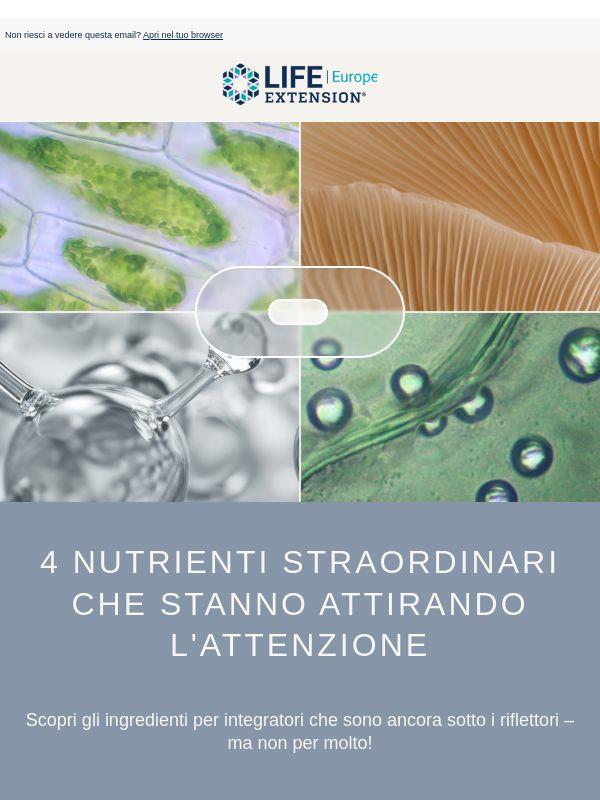 4 nutrienti da conoscere