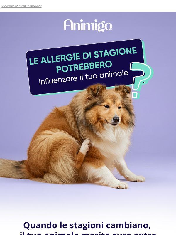 Le allergie di stagione potrebbero influenzare il tuo animale? 🌿
