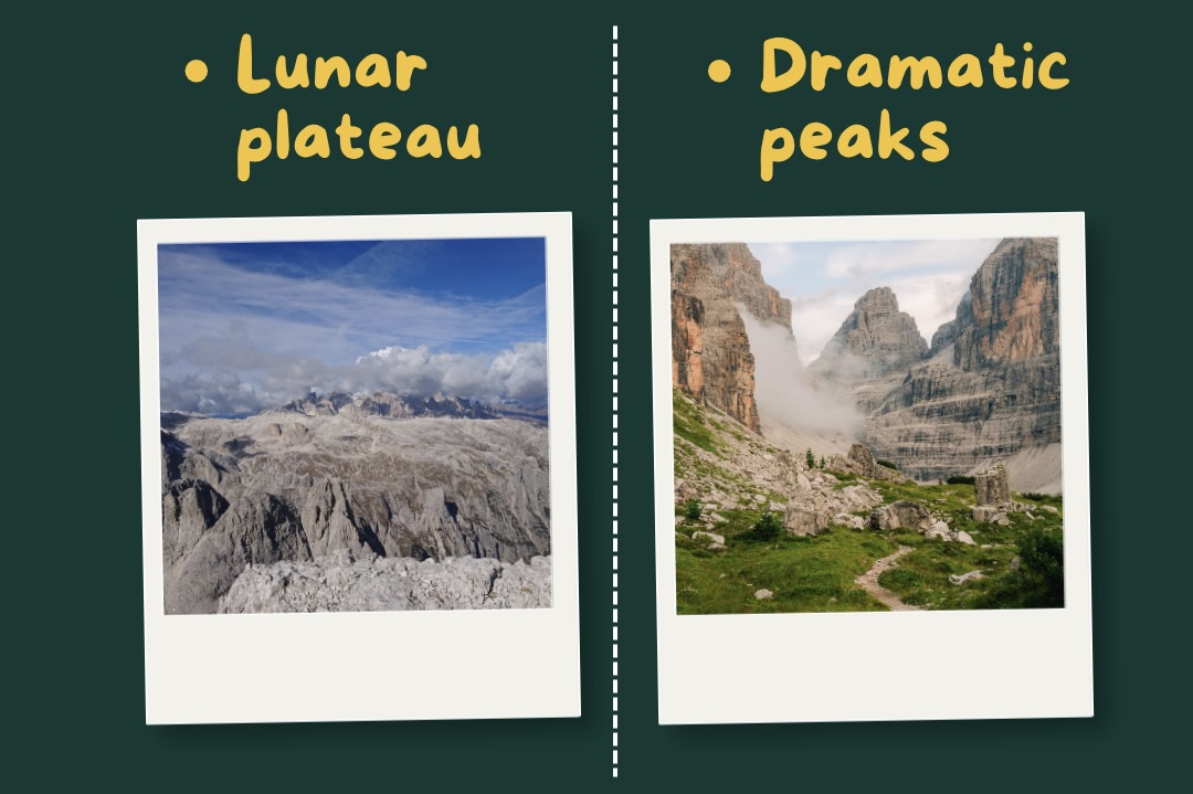 PALE VS BRENTA