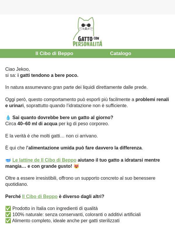 Sai quanto dovrebbe bere il tuo gatto?