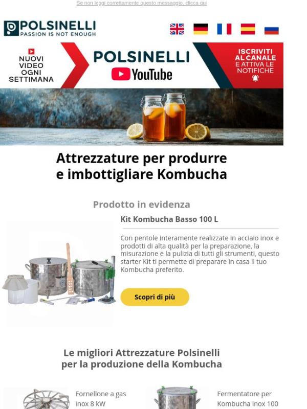 Polsinelli: il tuo partner per una Kombucha estiva perfetta ✨