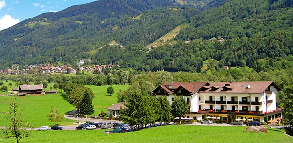 Alpine country hotel with balconies and parked cars in a green valley, forested mountains rising behind