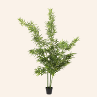Dekopflanze_BambooTree