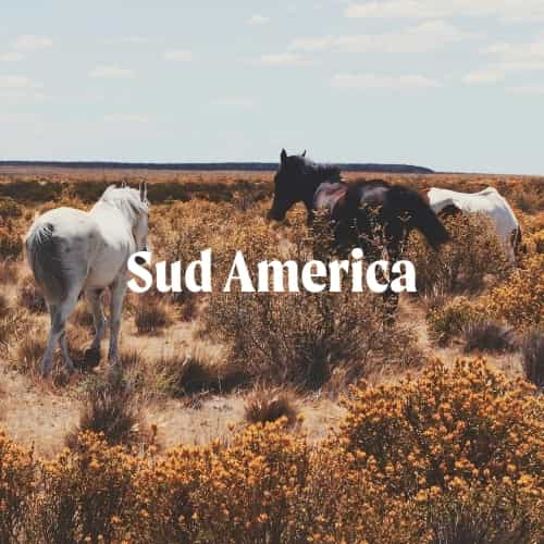 America del Sud