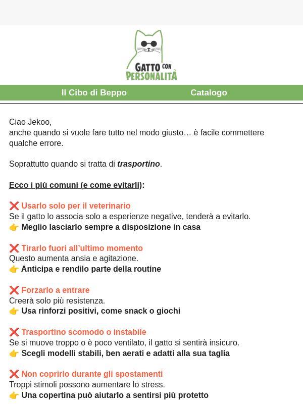5 errori che fanno stressare il tuo gatto