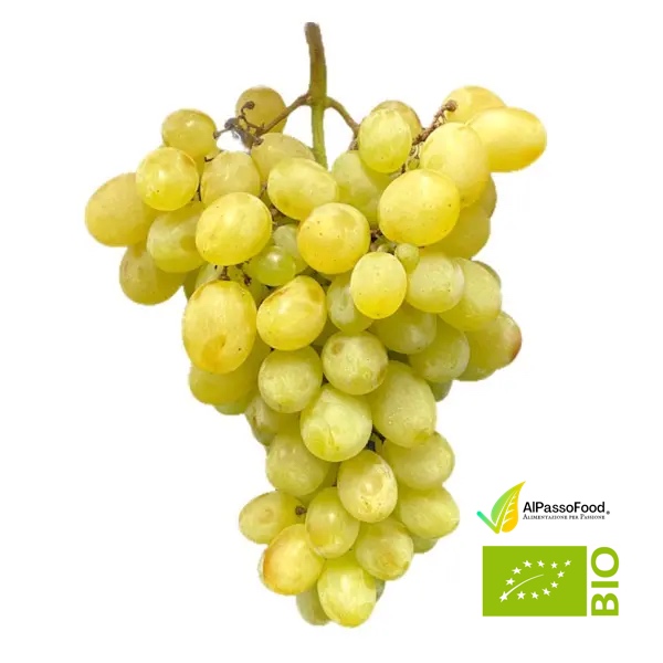Uva Bianca da Tavola Biologica