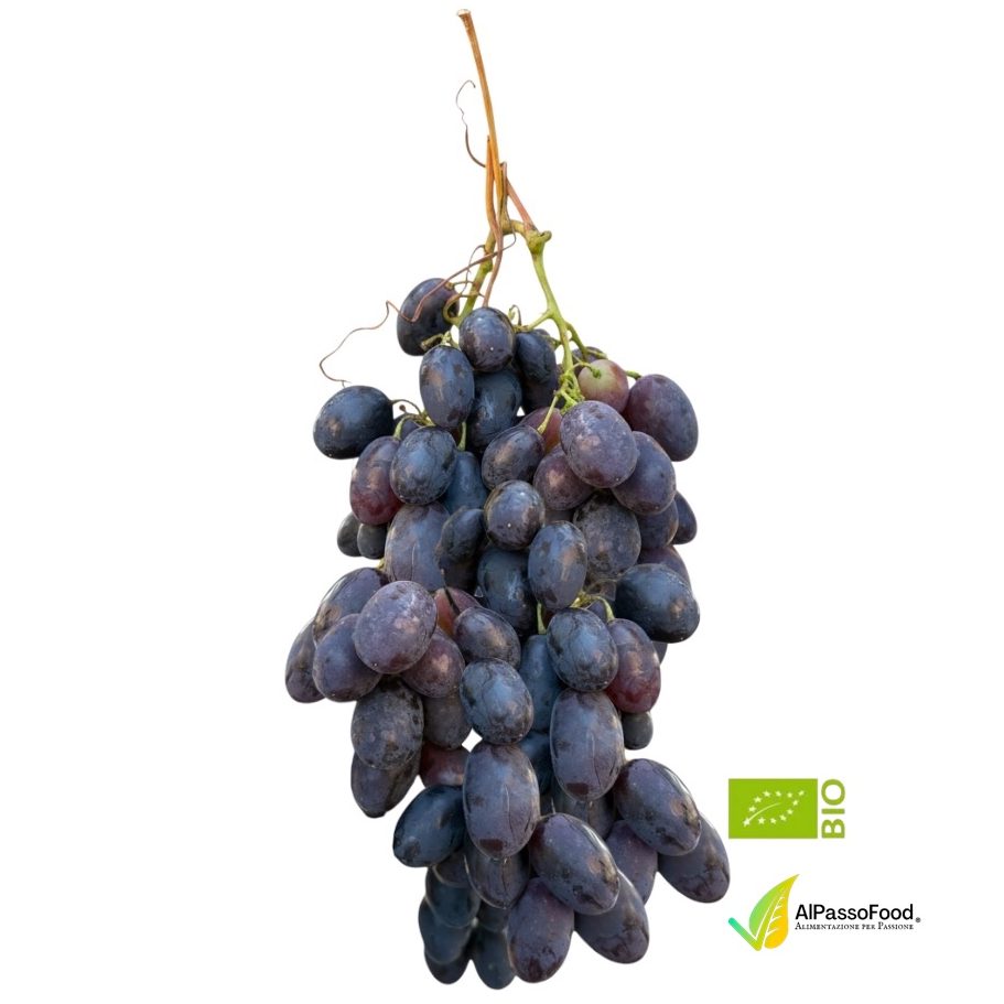 Uva Nera Black Magic Biologica