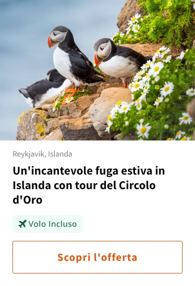 Un'incantevole fuga estiva in Islanda con tour del Circolo d'Oro