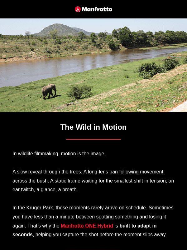 Timing Is Everything in Wildlife Filmmaking