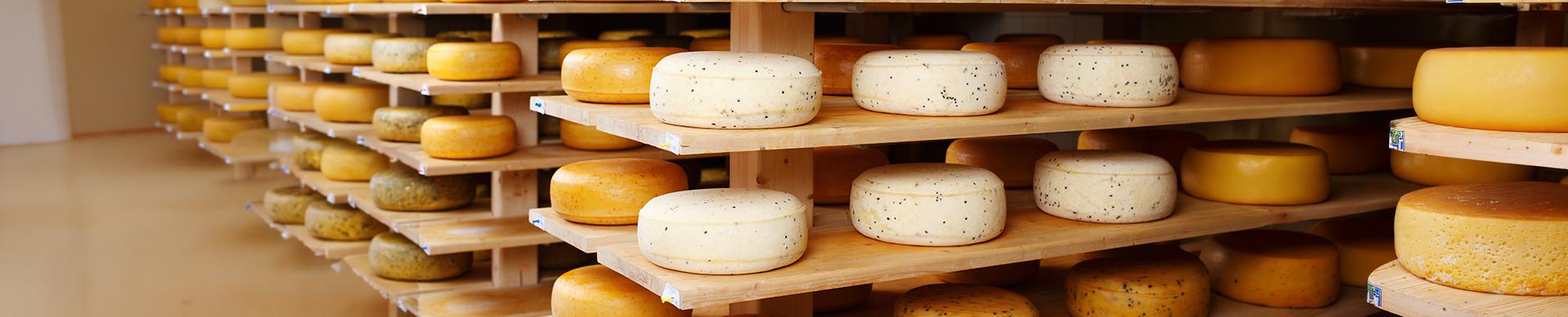 Attrezzature professionali Polsinelli per la produzione casearia