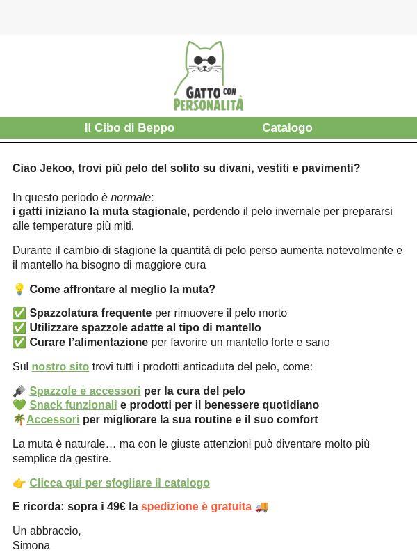 Il tuo gatto sta perdendo tanto pelo?
